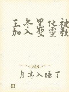 王冬黑化被洗脑加入圣灵教的小说