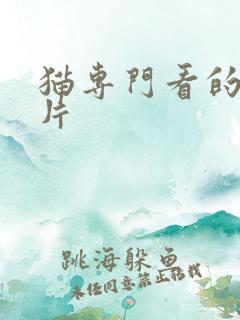 猫专门看的动画片