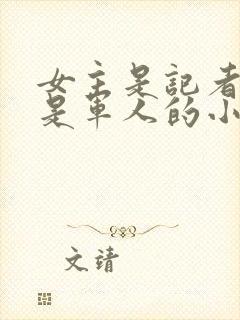 女主是记者男主是军人的小说