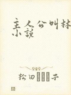 主人公叫林晚的小说