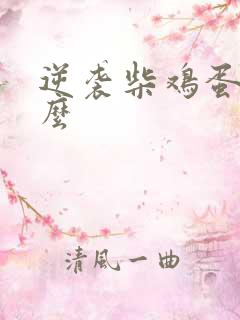 逆袭柴鸡蛋讲什么