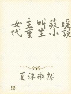 女主叫苏暖的古代重生小说