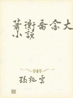 萧衡乔念大结局小说