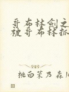 哥布林剑之圣女被哥布林抓走是第几集