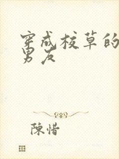 穿成校草的炮灰男友