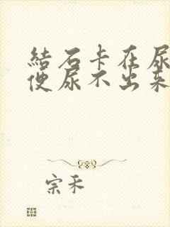 结石卡在尿道小便尿不出来怎么办