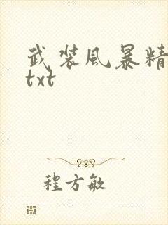 武装风暴精校版txt