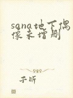 sana地下偶像未增删