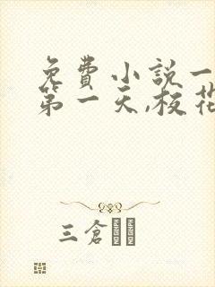 免费小说一重生第一天,校花竟然偷偷撩我