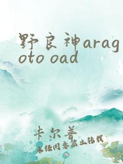 野良神aragoto oad
