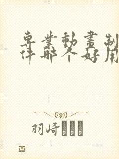 专业动画制作软件哪个好用