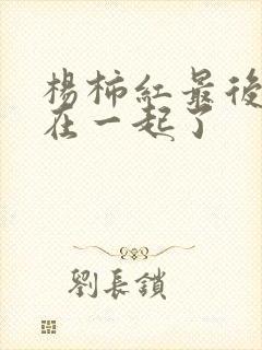 杨柿红最后和谁在一起了