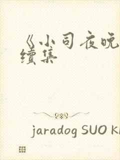《小司夜晚篇》续集