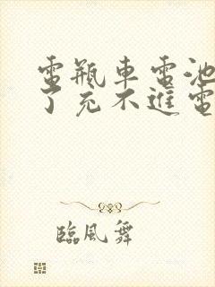 电瓶车电池放久了充不进电怎么办