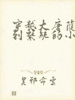 穿越大唐获得签到系统的小说