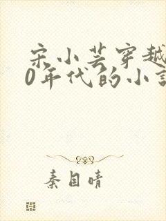 宋小芸穿越到70年代的小说