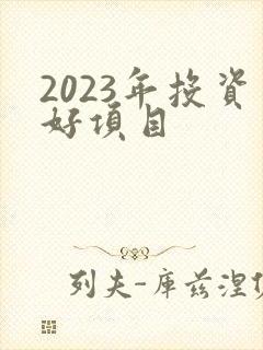 2023年投资好项目