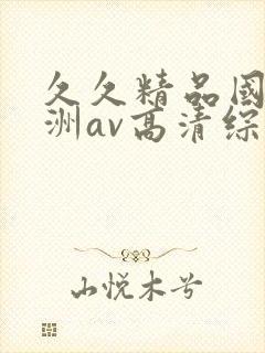 久久精品国产亚洲av高清综合