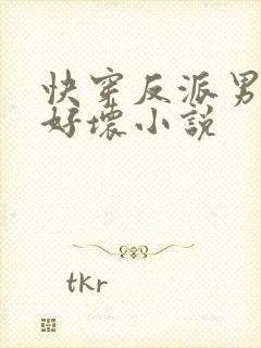 快穿反派男主你好坏小说