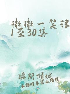 微微一笑很倾城1至30集