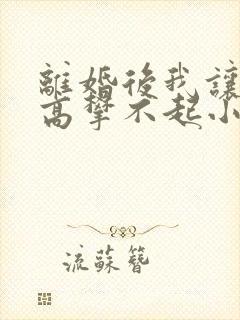 离婚后我让前妻高攀不起小说