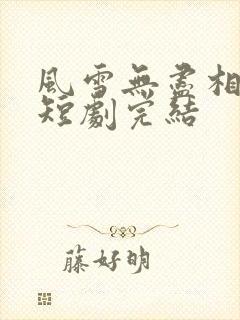 风雪无尽相思情短剧完结