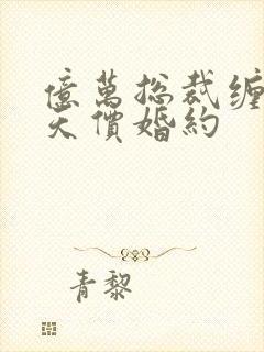 亿万总裁缠上我天价婚约