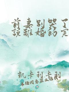 前妻别哭了是你说离婚的完整短剧