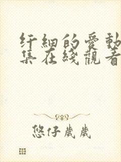 纤细的爱动漫全集在线观看免费