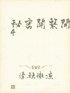 秘密关系开始了4