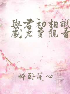 与君初相识电视剧免费观看全集