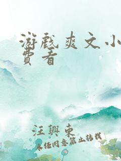 游戏爽文小说免费看