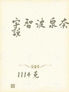 宇智波泉奈的小说