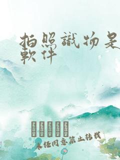 拍照识物是哪个软件