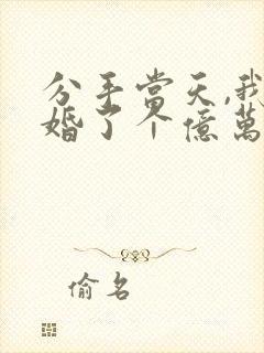 分手当天,我闪婚了个亿万富翁正版