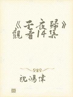 《子夜归》免费观看14集