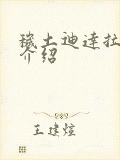 秽土迪达拉技能介绍