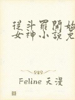 从斗罗开始俘获女神小说免费完整版