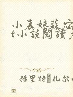 小表妹苏宓txt小说阅读免费