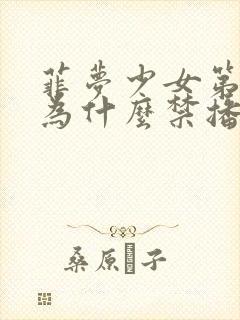 菲梦少女第三季为什么禁播