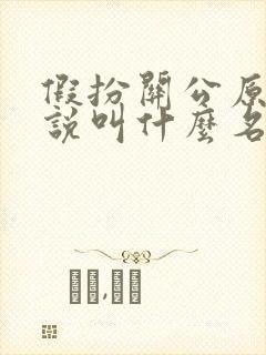 假扮关公原著小说叫什么名字