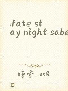 fate stay night saber线