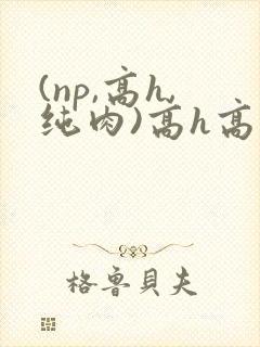 (np,高h,纯肉)高h高辣h