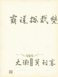霸道总裁双男主