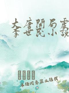 大唐开局震惊了李世民小说