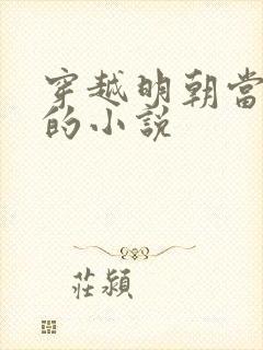 穿越明朝当崇祯的小说