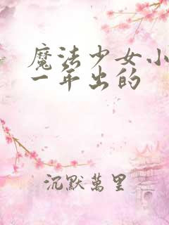 魔法少女小圆哪一年出的