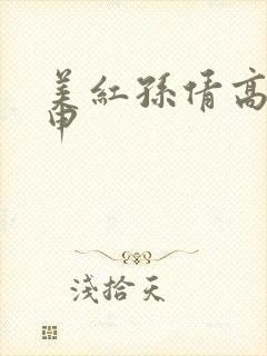 美红孙倩高义王申