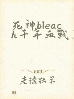死神bleach千年血战篇第一季