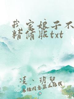 我家娘子不对劲精修版txt